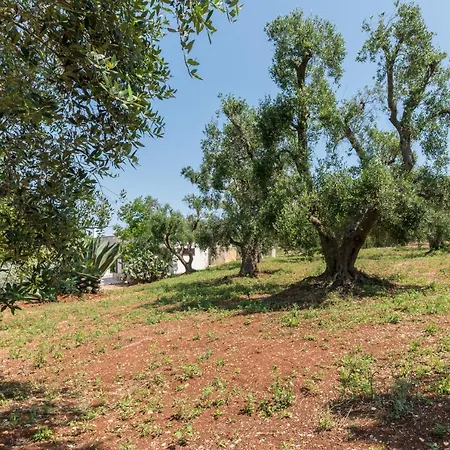 Masseria Bel Cortile - * Ostuni