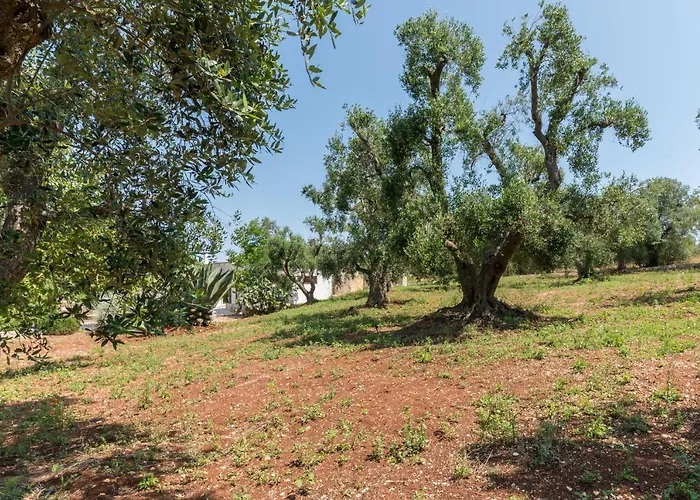 Masseria Bel Cortile - * Ostuni