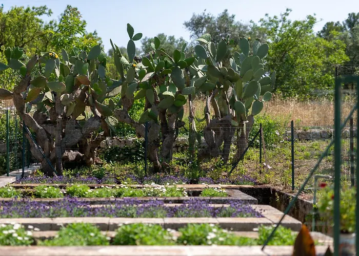 Masseria Bel Cortile - Villa Ostuni